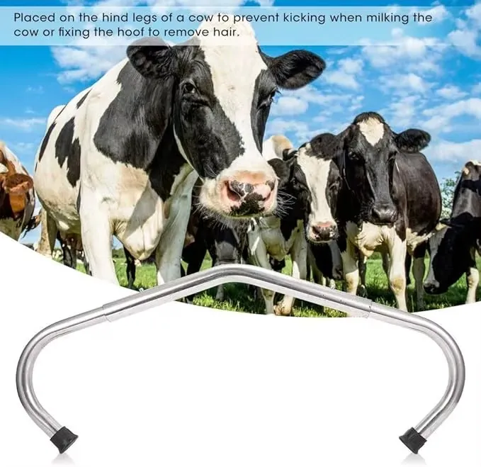 أداة وقف ركلة البقر 